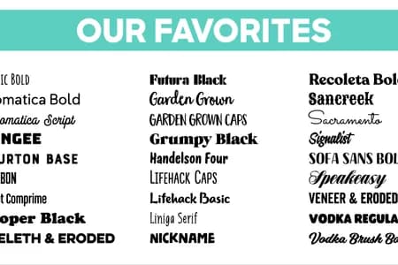 FavoriteFonts_Fonts-1766031610991-ih294.png