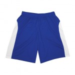 Sport-Tek Colorblock Performance Shorts