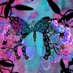 bfly2