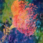 burst