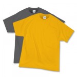 Hanes 50/50 T