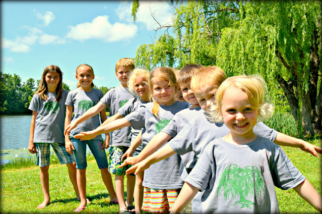 Mini Willows