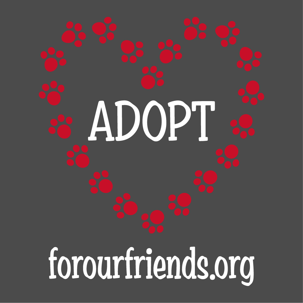 Adopt Love - For Our Friends Fall 2017 Fundraiser shirt design - zoomed