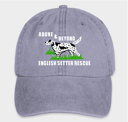 Above and Beyond English Setter Fundraiser - unisex shirt design - front
