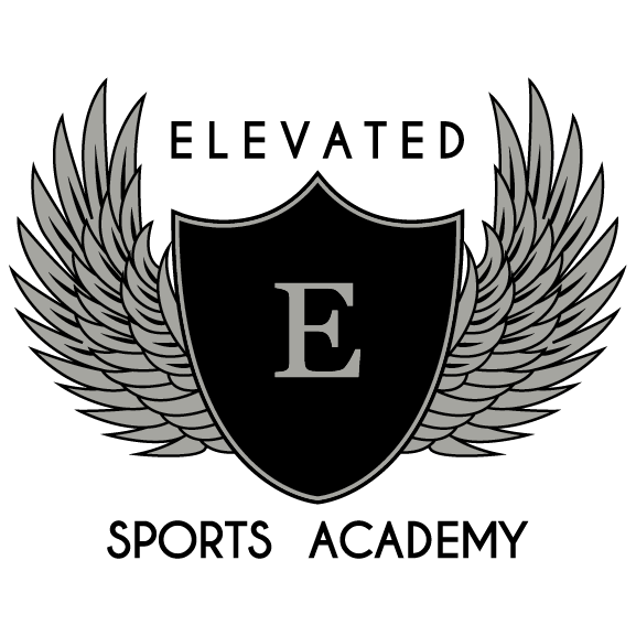 Elevated Sports Academy Campaign shirt design - zoomed