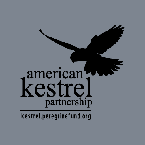 2016 American Kestrel Partnership T-Shirt Fundraiser shirt design - zoomed