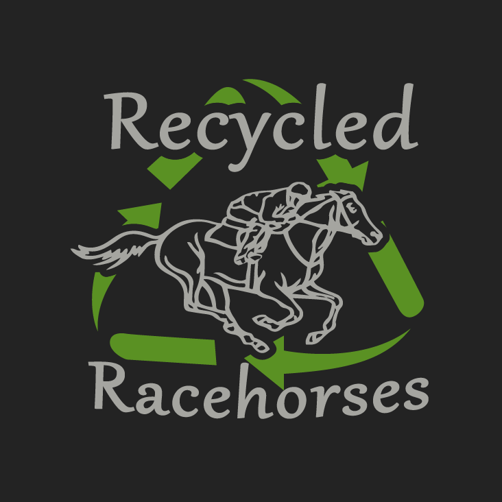 Recycled Racehorses ~ 2017 Hoodie ~ shirt design - zoomed