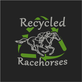 Recycled Racehorses ~ 2017 Hoodie ~ shirt design - zoomed