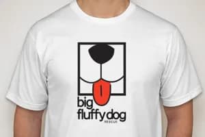 PP AR Shirt1-1772207013255-ijhrt.png