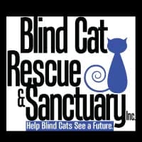 PP AR Success 1-1772207016445-1kbnt.png