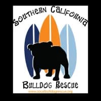 PP AR Success 3-1772207016751-t8he8.png