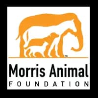 PP AR Success 4-1772207016927-g3e5l.png