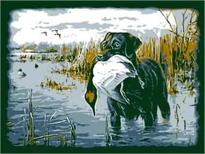 redraw-multi-color-b2985769601b6517756e6b22464670bb935b4a1c587697e001e6421530c7b984-1776272075663-gyecx.webp