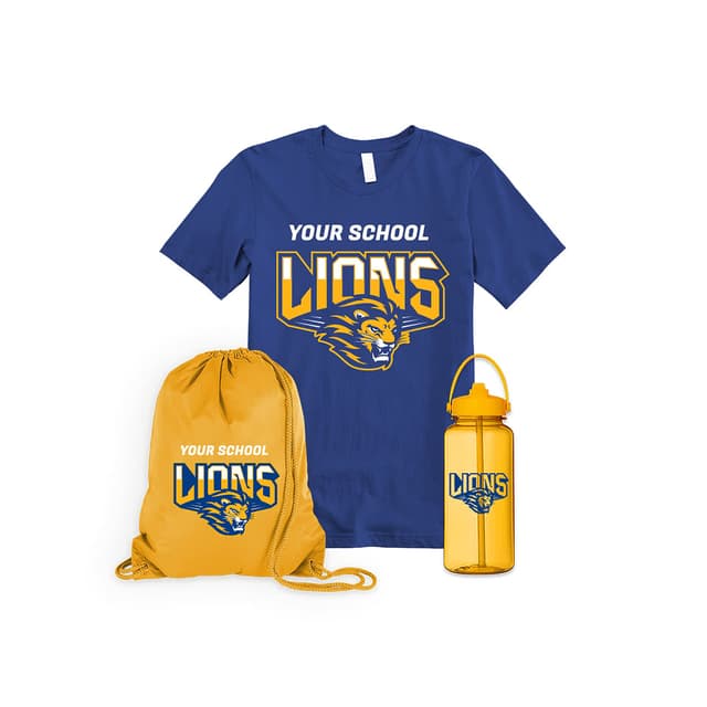 School Spirit category