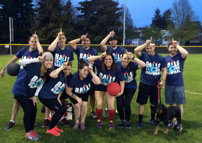 Animal Team Names Photo