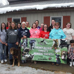 animal_shelter_2