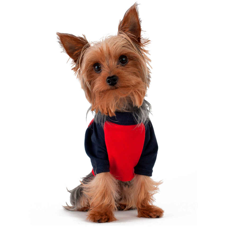 american-apparel-dog-raglan-t-shirt