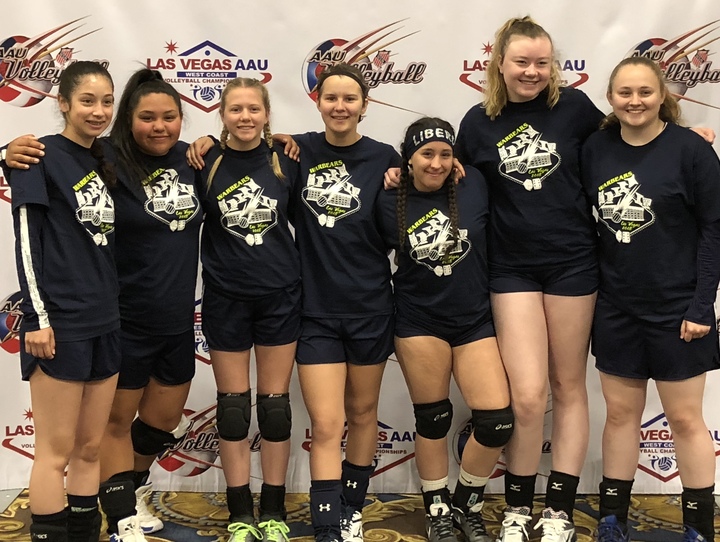 volleyball team