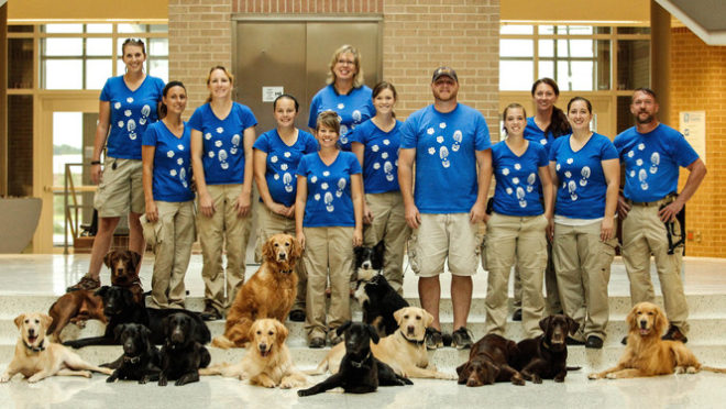 pet sitting company