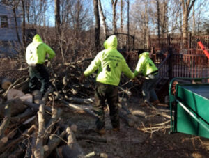 Tree service workers on the job in their custom gear.