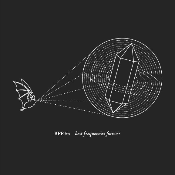 Bat Frequencies Forever T-Shirt shirt design - zoomed