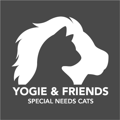 Special Needs Cats Need Us! shirt design - zoomed