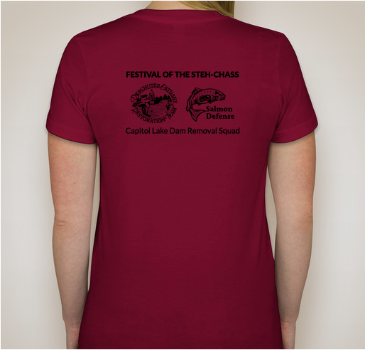 CAPITOL LAKE DAM SMASHER Fundraiser - unisex shirt design - back