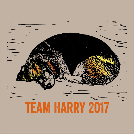 Join Team Harry to support his TPLO surgery fund! shirt design - zoomed