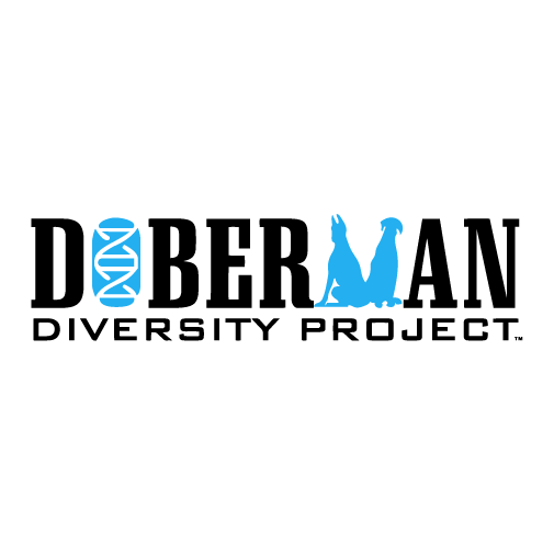 Doberman Diversity Project Holter Monitor Project Fundraiser shirt design - zoomed