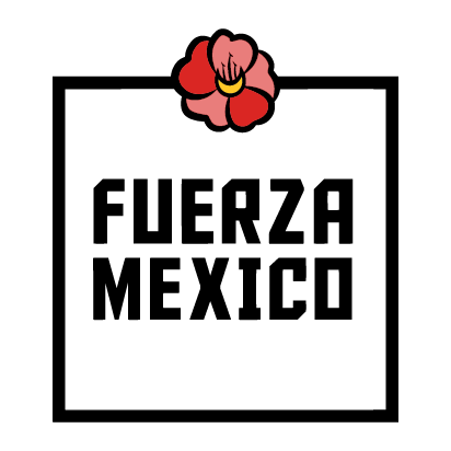 Earthquake Relief Fund for Mexico shirt design - zoomed