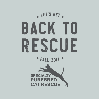 Back to Rescue shirt design - zoomed
