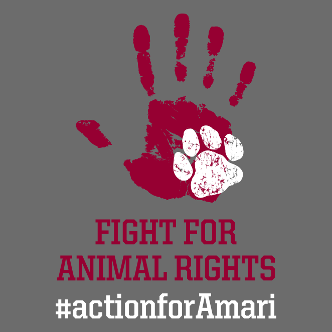 Action for Amari shirt design - zoomed