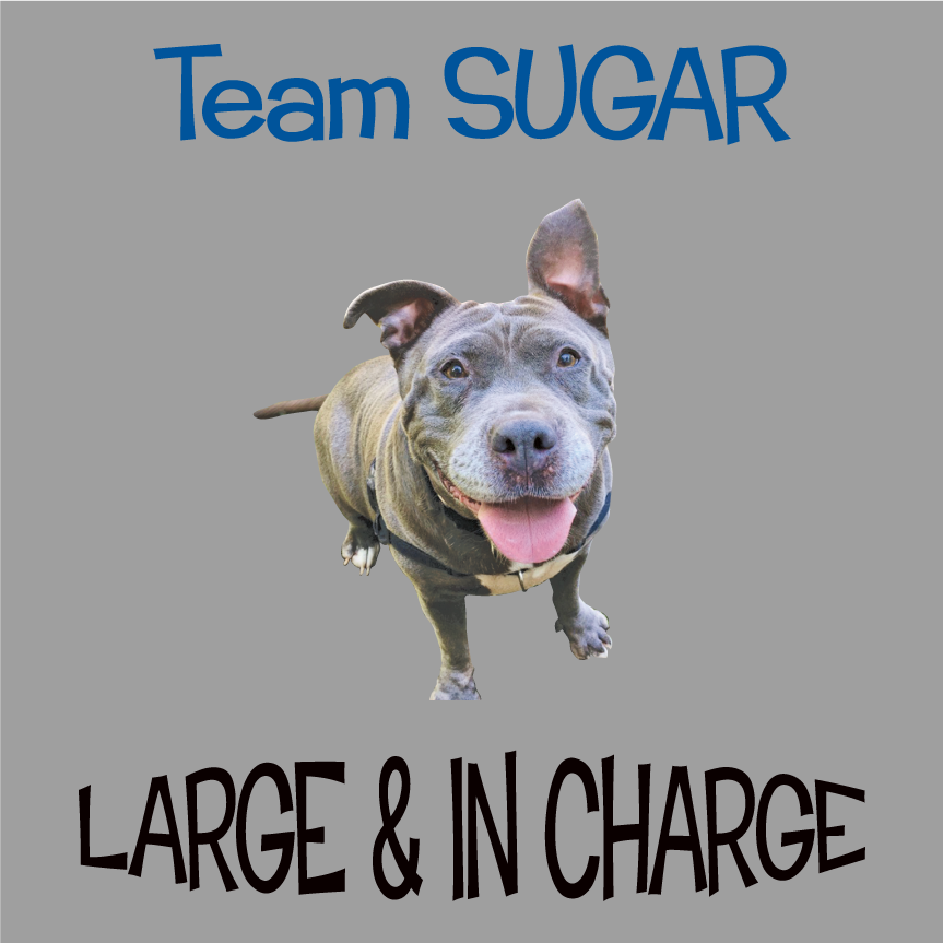 Team Sugar shirt design - zoomed