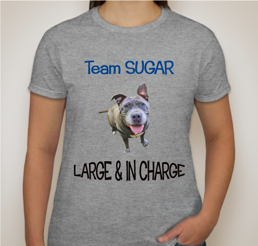 Team Sugar Fundraiser - unisex shirt design - front
