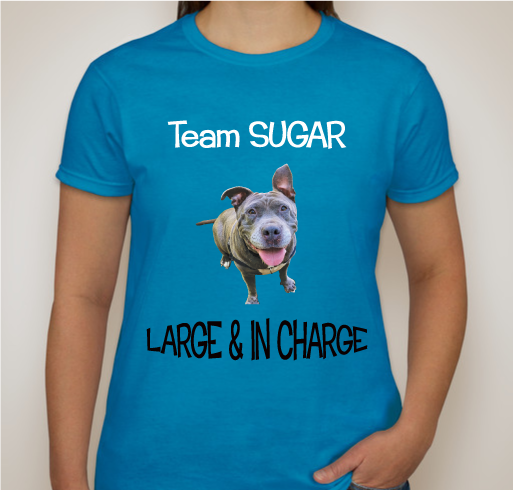 Team Sugar Fundraiser - unisex shirt design - front