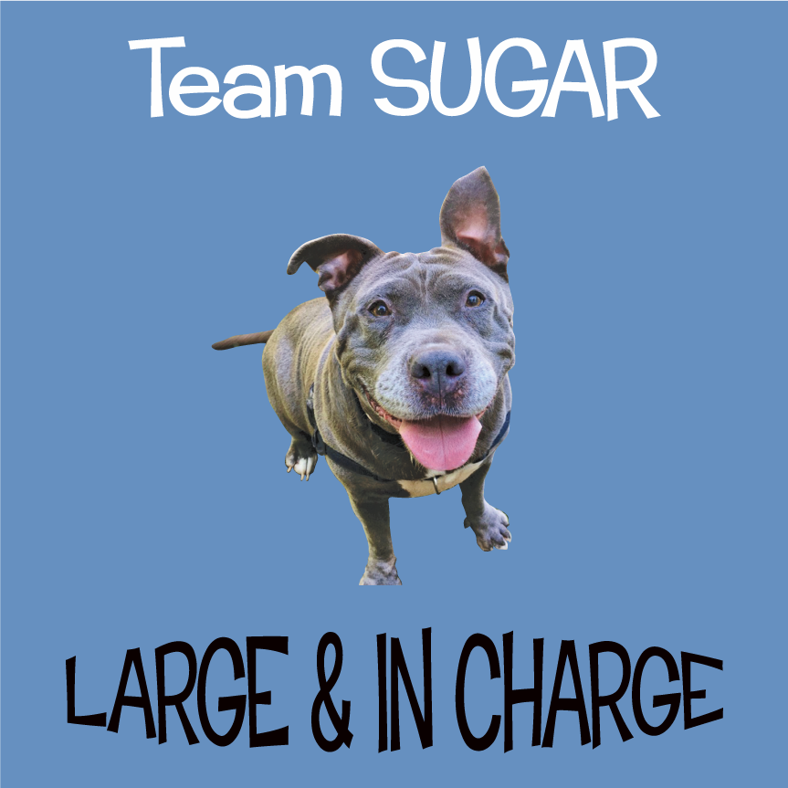 Team Sugar shirt design - zoomed