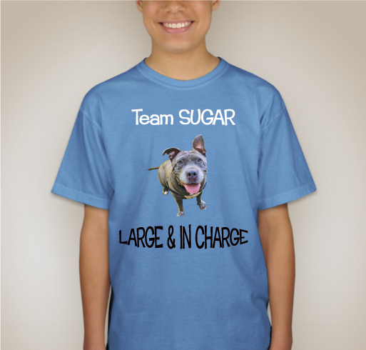 Team Sugar Fundraiser - unisex shirt design - back
