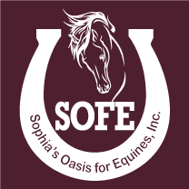 S.O.F.E. Winter fund shirt design - zoomed
