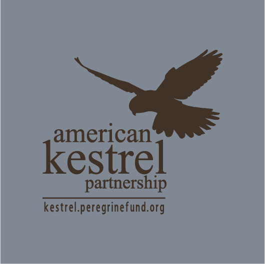 2017 American Kestrel Partnership T-Shirt Fundraiser shirt design - zoomed