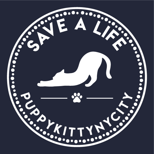 PuppyKittyNYCity shirt design - zoomed