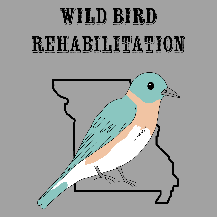 Wild Bird Rehabilitation T-shirt Fundraiser shirt design - zoomed