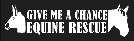 Give Me a Chance Equine Rescue Center shirt design - zoomed