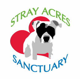 Stray Acres Sanctuary and Animal Rescue T-Shirt Fundraiser shirt design - zoomed