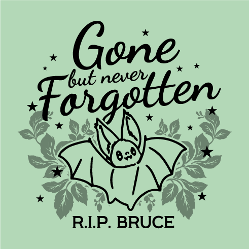 Long Live Bruce Initiative shirt design - zoomed