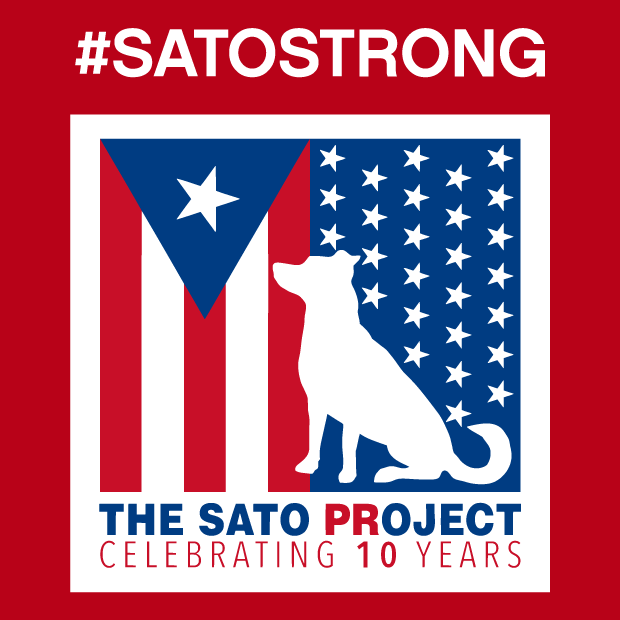 The Sato Project 10th Anniversary Spring Fundraiser shirt design - zoomed