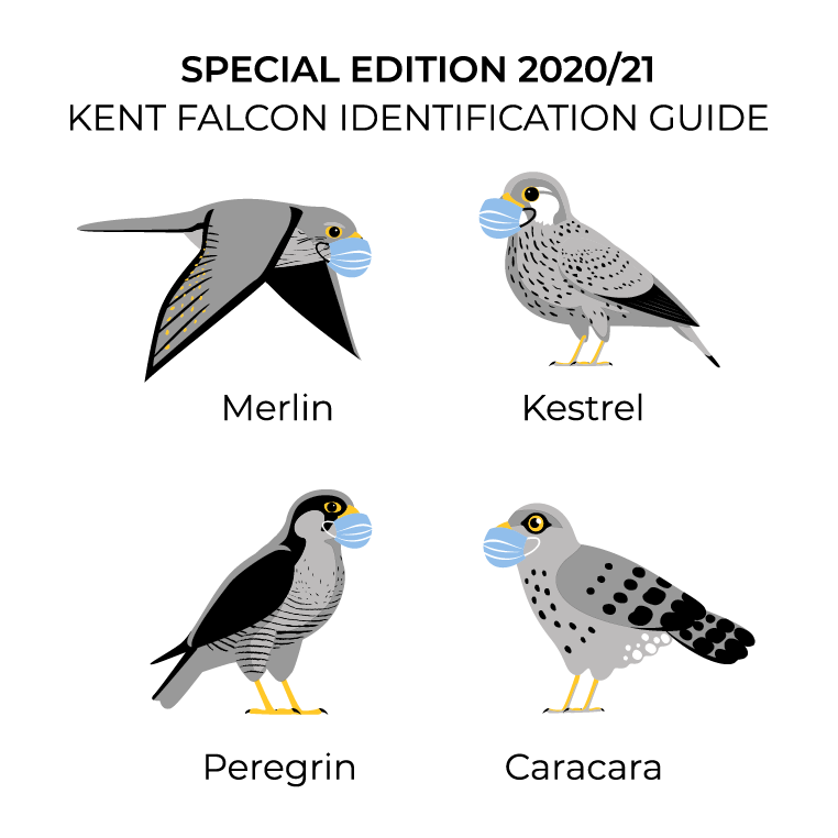 Special Edition Kent Tees 2021 shirt design - zoomed