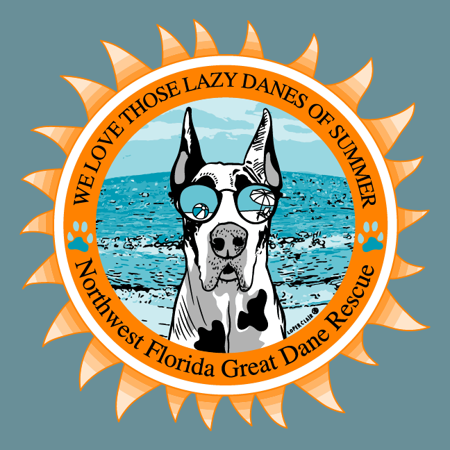 The Lazy Danes of Summer Redux '21 shirt design - zoomed