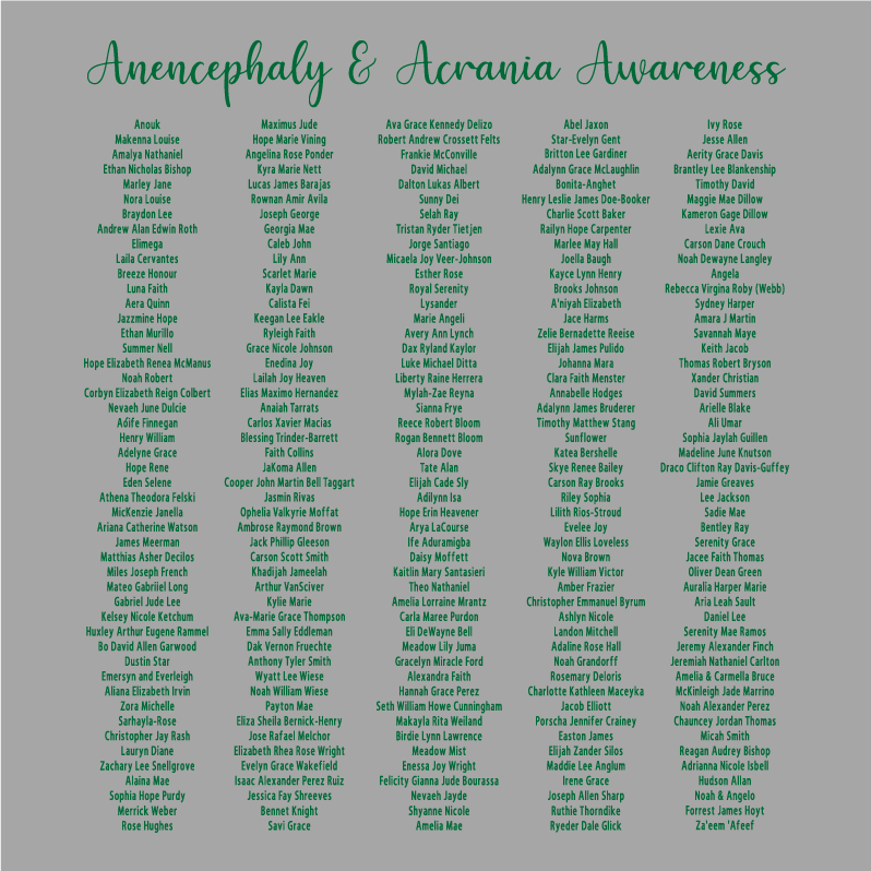 Please help support Lisa Borders, founder of Anencephaly Hope Group shirt design - zoomed