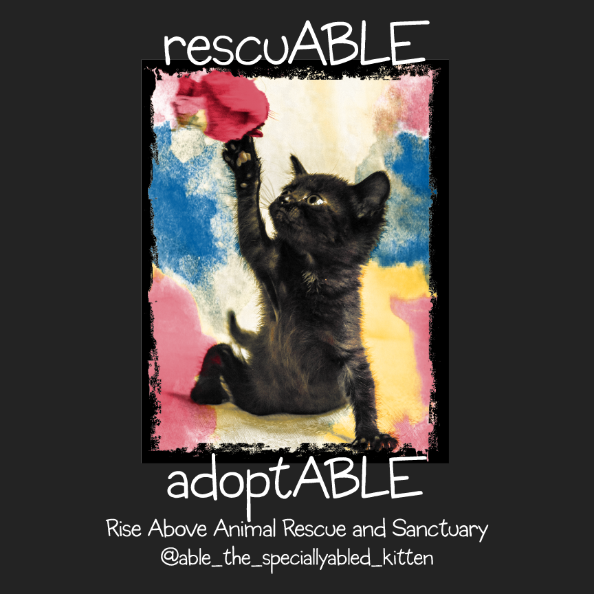 Able - the specially-abled kitten shirt design - zoomed