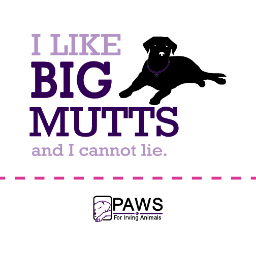 PAWS for Irving Animals T-Shirt Fundraiser shirt design - zoomed